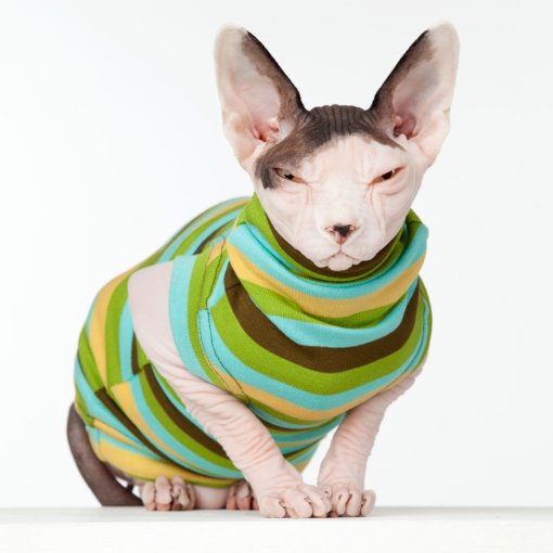 Vidám, többszínű (zöld, kék, sárga, barna) csíkos, magas
nyakú ruha.